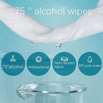 Alcohol Wipes 10 packs, 100 pcs